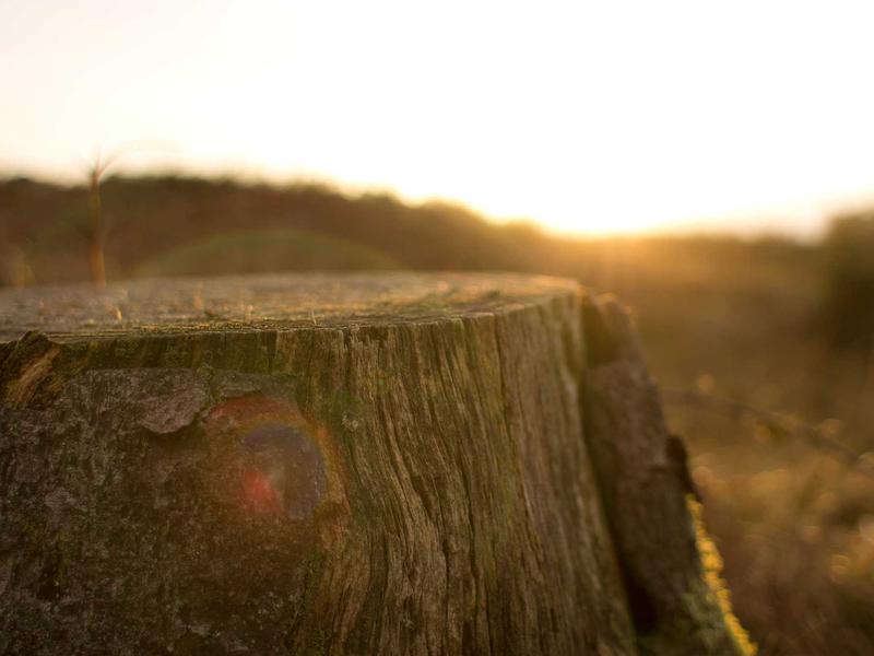 sudoku brain teaser screenshot 2